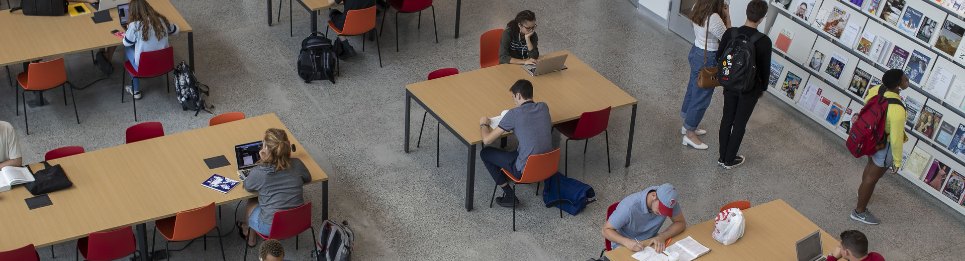 Aerial view of students studying at desks in Charles Library